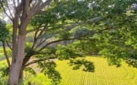 眼下に広がる田園風景♪(周辺)