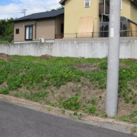 敷地外観(外観)